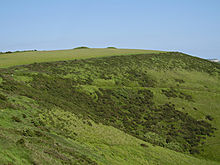 <b>East Hill Barrows</b>Posted by formicaant
