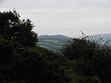 <b>Hawkesdown Hill</b>Posted by formicaant