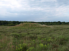 <b>Coombe Heath</b>Posted by formicaant