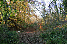 <b>Castell Cawr</b>Posted by postman