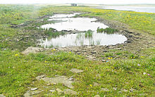 <b>Loch of Tankerness</b>Posted by wideford