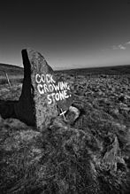 <b>Cock Crowing Stone</b>Posted by Kozmik_Ken