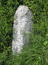 <b>Yetminster Stone</b>Posted by TMA Ed