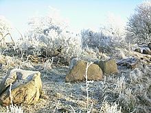 <b>Auldearn Cairn & Stone Row</b>Posted by drewbhoy
