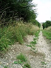 <b>Dorset Cursus (North to Martins Down)</b>Posted by UncleRob