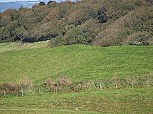 <b>Thorncombe Beacon</b>Posted by formicaant