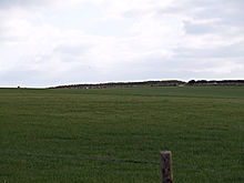 <b>Bincombe Down Long Barrow</b>Posted by formicaant
