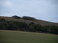 <b>Grimstone Down</b>Posted by formicaant