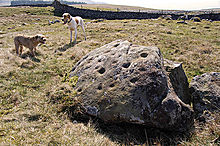 <b>Cup and Ring Marked Stone</b>Posted by fitzcoraldo