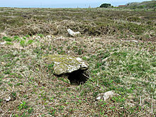 <b>Portheras Common Barrow</b>Posted by chrisbird