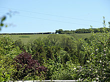 <b>Lyscombe Hill</b>Posted by formicaant