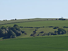 <b>Ridgeway Hill</b>Posted by formicaant