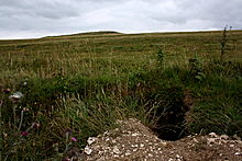 <b>Giant's Grave (Milton Hill)</b>Posted by GLADMAN