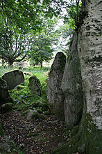 <b>Ballyrogan Giant's Grave</b>Posted by Stonecrazy