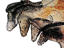 <b>Chauvet Cave</b>Posted by Chance