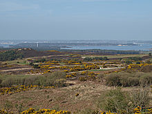 <b>Brownsea Island</b>Posted by formicaant