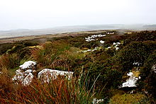 <b>Greens Moor</b>Posted by GLADMAN