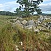 <b>Kinrive West</b>Posted by strathspey
