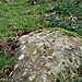 <b>Llanerch Stone</b>Posted by postman