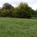 <b>Bathampton Downs barrows</b>Posted by thesweetcheat