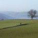 <b>Gilfach Hill</b>Posted by thesweetcheat