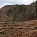 <b>Nercwys Mountain</b>Posted by JohnAko