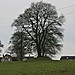 <b>Broad Oak Farm</b>Posted by postman