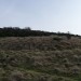 <b>The Ring, Cleeve Hill</b>Posted by thesweetcheat
