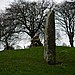 <b>Churchyard Stones</b>Posted by Meic