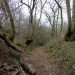 <b>Hailes Wood Camp</b>Posted by thesweetcheat