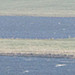 <b>The Great Sacred Monuments of Stenness</b>Posted by wideford