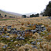 <b>Upper Neuadd cairns</b>Posted by thesweetcheat