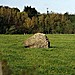 <b>Trefwri Standing Stone (West)</b>Posted by stubob