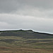 <b>Long Scar Pike</b>Posted by thesweetcheat