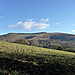 <b>Coed y Gaer</b>Posted by thesweetcheat