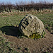<b>Hindwell Stone</b>Posted by thesweetcheat