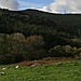 <b>Anafon Valley cairns</b>Posted by postman