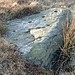 <b>Weary Hill Stone</b>Posted by Chris Collyer