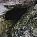 <b>Paviland Cave</b>Posted by GLADMAN