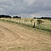 <b>Durrington Down Group</b>Posted by Chance