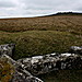 <b>White Tor East</b>Posted by GLADMAN