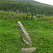 <b>Athgreany standing stone</b>Posted by ryaner