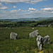 <b>The Piper's Stones</b>Posted by ryaner
