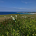 <b>Pentire Point East</b>Posted by thesweetcheat