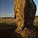 <b>Trippet Stones</b>Posted by Crazylegs14