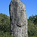 <b>Dry Tree Menhir</b>Posted by Ravenfeather