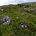 <b>Showery Tor Downs Cairn</b>Posted by thesweetcheat