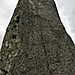 <b>Dry Tree Menhir</b>Posted by thesweetcheat