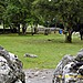 <b>Clava Cairns</b>Posted by Tyrianterror