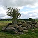 <b>Tyddyn Bach Standing Stone</b>Posted by Meic